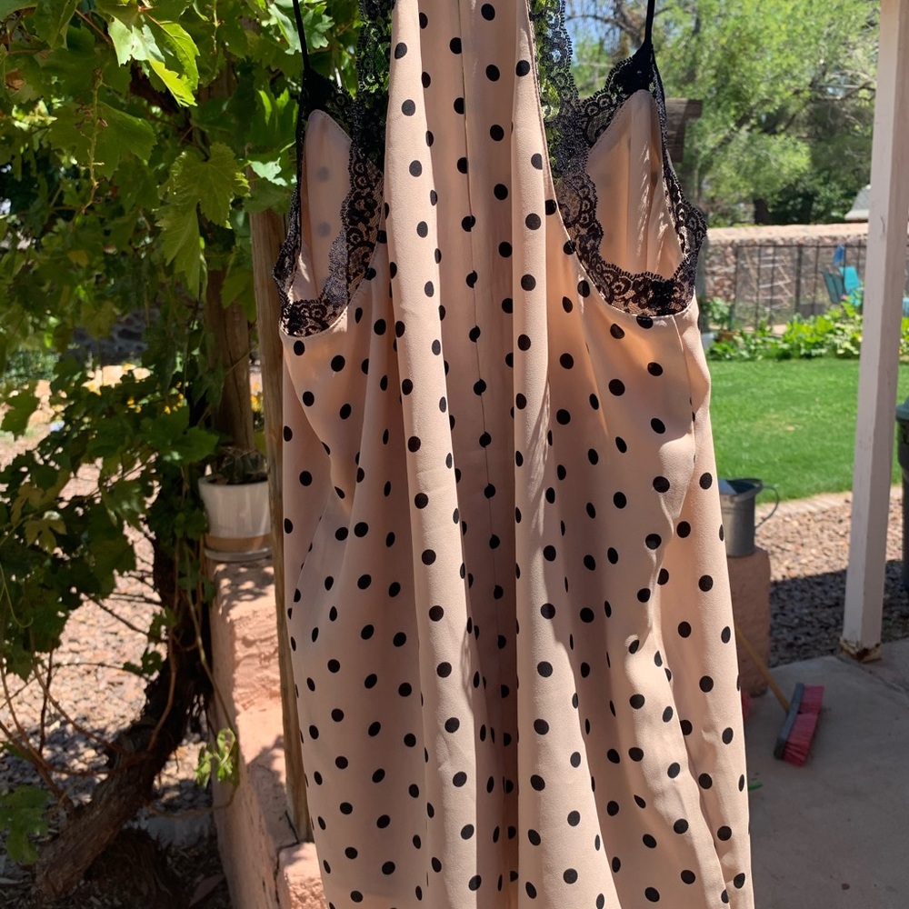 Express polka dot shirt